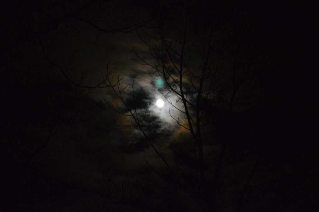 Nighttime photo of the moon obscured by clouds with trees in the foreground